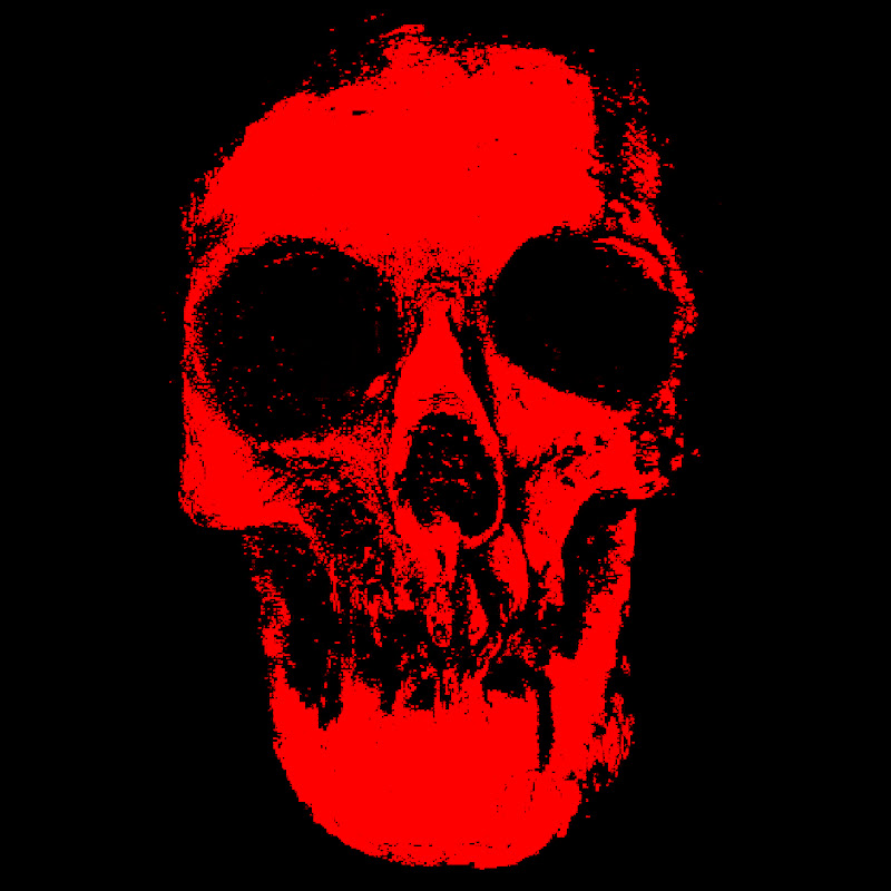 Xx_skull_mug_xX