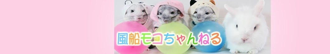 Balloon rabbit Mocoé¢¨èˆ¹ã†ã•ãŽãƒ¢ã‚³ã¡ã‚ƒã‚“ رمز قناة اليوتيوب