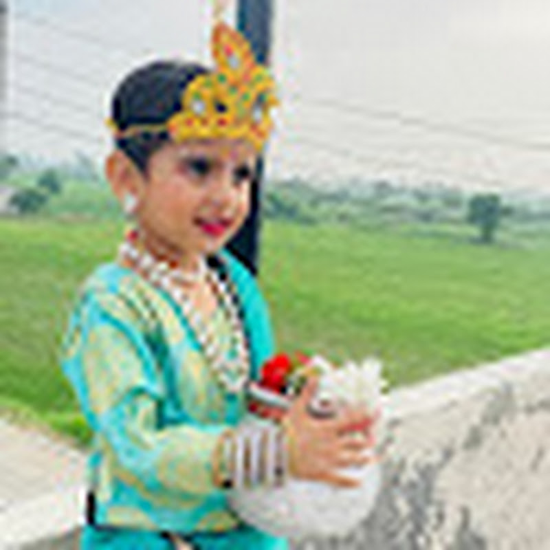 Hire tajender ruhal  — Pets & Animals YouTube creator for sponsorships