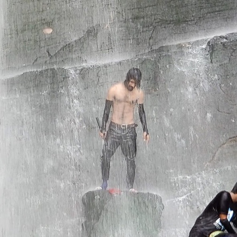Shahin In The Wild icon