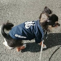 ☆haku☆channelアイコン画像