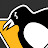 Pittsburgh Penguins