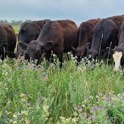 Greener Pastures Ranching Ltd.