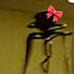 Z58-Y8hLmhI-channel-avatar-backrooms lover