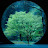 @인향-p4s