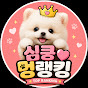 심쿵멍랭킹