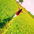 Ir_PmmoeOd8-channel-avatar- Reddy