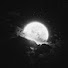 qMh5VerRgR0-channel-avatar-「The moonlight」