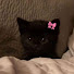 BptJZi3inIw-channel-avatar-PlutoCatAsmr