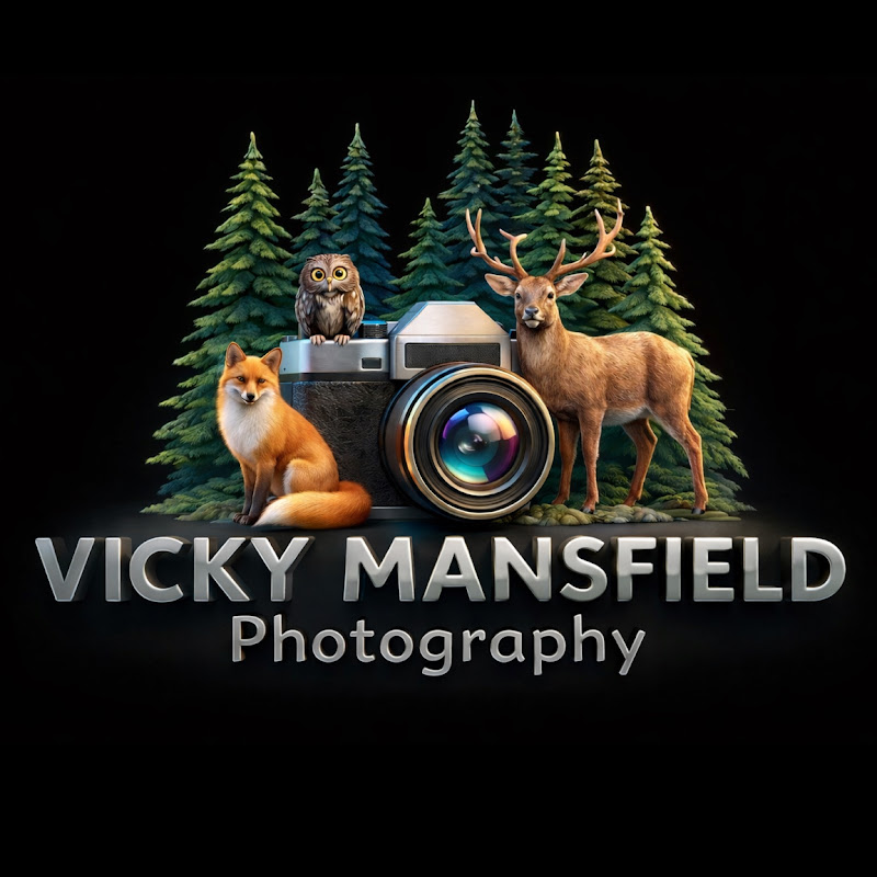 Vicky Mansfield Photography