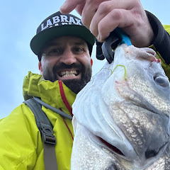Fishing with Humphr