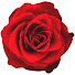 T957fDgC3Qw-channel-avatar-NEIL DIAMOND CENTRAL