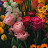 @عبوديامبيرات