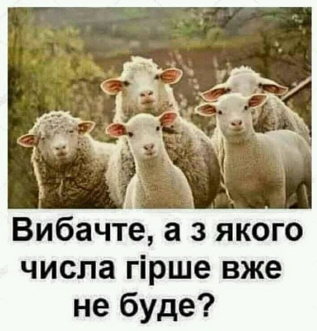 Попытки отправить в отставку руководство НАБУ выглядят, как политически мотивированные действия, направляемые Коломойским, - заявление евродепутатов - Цензор.НЕТ 6892