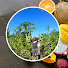 ppVC9a8qL38-channel-avatar-Dan's Food Forest