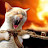 @jarl95