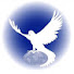 17FRtk87x6Y-channel-avatar-MURANG'A MAIN ALTAR