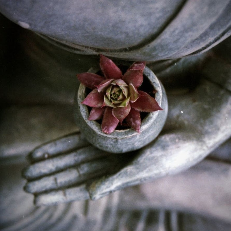 Silent Healing Frequencies 5th Dimension