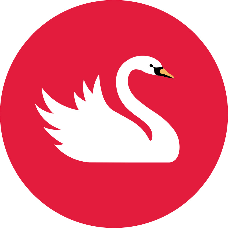 Swans Down Cake Flour