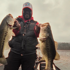 Tezbfishin
