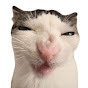 MM Animals