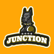 Dogs Junction