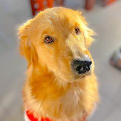 Golden Isla