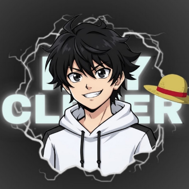 RayClever