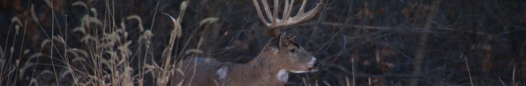 Midwest Whitetail Daily YouTube channel avatar
