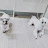 @콩이와나초