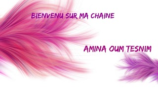 «Amina Oum tesnim channel» youtube banner