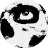 YUSK1nPfjMk-channel-avatar-bakikai