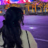 8YXAiIwEy4Q-channel-avatar-혤카이브