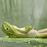 z6VW6R1BYdw-channel-avatar-Relaxing Views 911