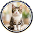 BUIJiYmHhFc-channel-avatar-Meow Mindset and Canine Decode