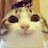 avatar of @minimoose3406