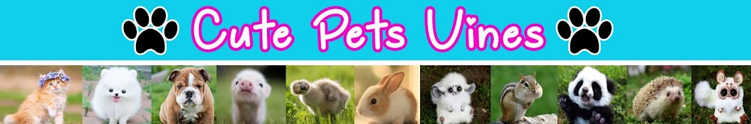 Cute Pets Vines यूट्यूब चैनल अवतार