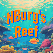NBurg Reef