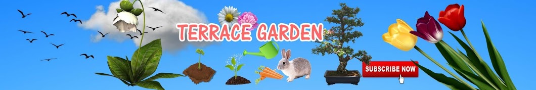 Terrace Garden Avatar de canal de YouTube