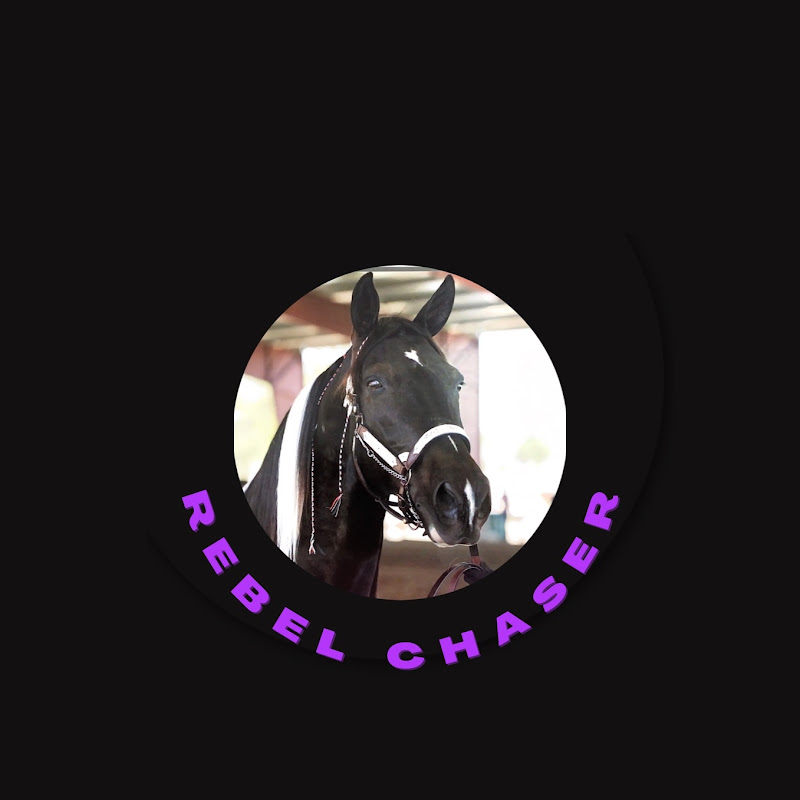 Rebel Chaser Reacts