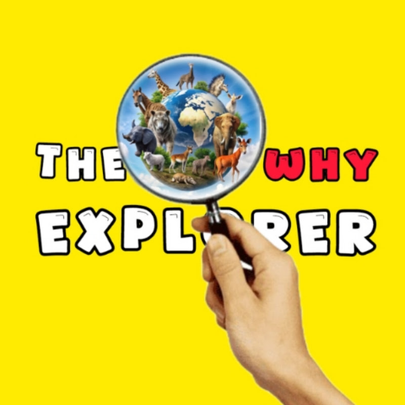 The why explorer