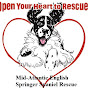 Mid-Atlantic English Springer Spaniel Rescue