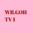 LycUFBK4qHA-channel-avatar-WILGOH TV 1