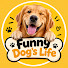oZW2LAwCkt4-channel-avatar-Funny Dog's Life 3