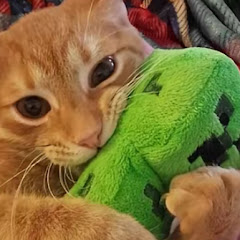 🌟claws𖤐🪐 (quit)