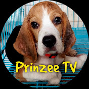 Prinzee TV