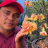 p0GNn65eMWI-channel-avatar-Rosa do deserto Claudison Silva