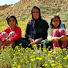 nAkvp3eUku4-channel-avatar-Sabor original 