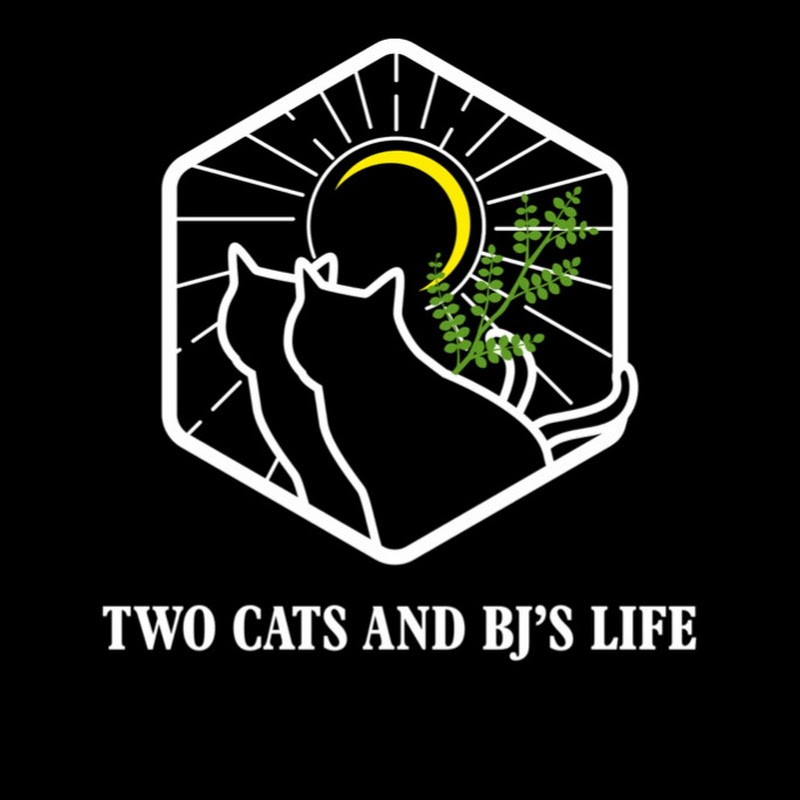 ネコ2匹とBJおじさんの生活