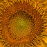 puhRQIMT78A-channel-avatar-Israel Sather